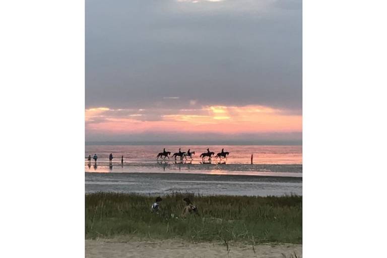 foto12