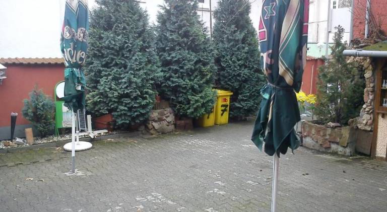 foto5