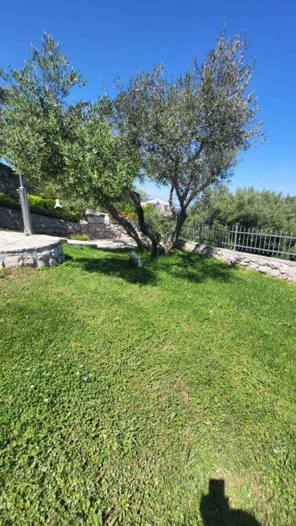 foto17