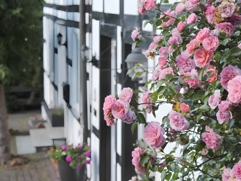 Ferienwohnung Olsberg