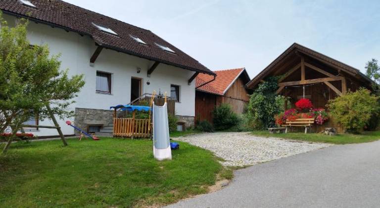 foto3