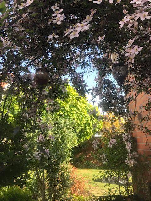 foto21