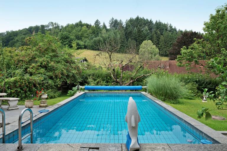 Fully equipped rental apartment with pool, yard & fast internet | Mountain view | Perfect for remote work | Dogs allowed — photo 2