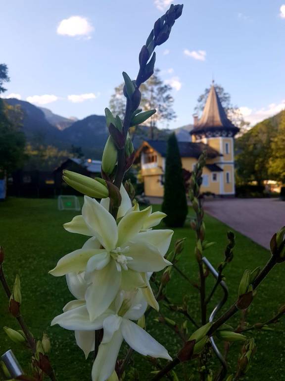 foto23