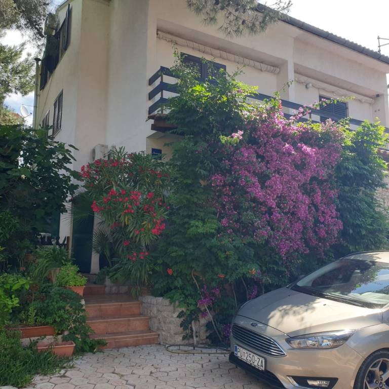 foto26