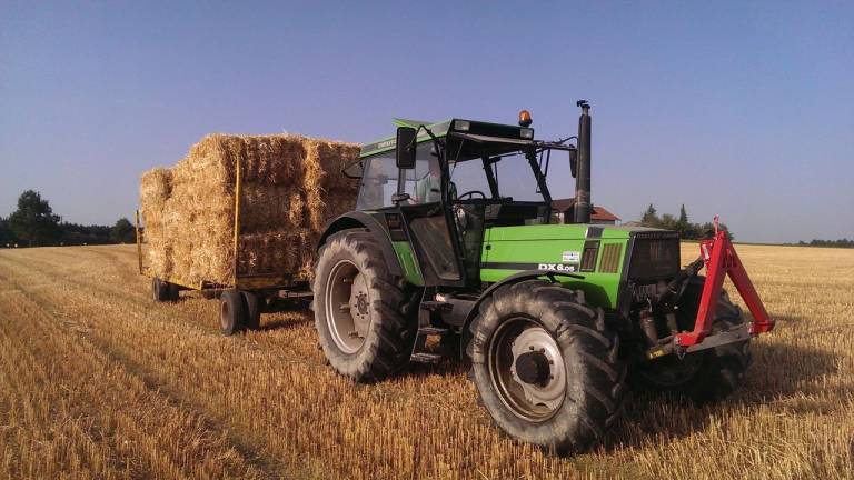 Ferienwohnung  Grafing bei München