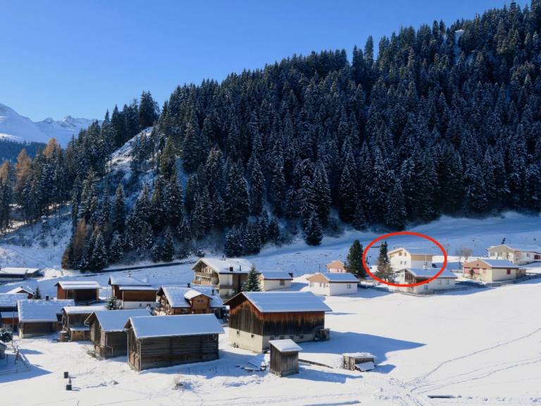 Ferienhaus mit Hund in Disentis/Mustér, Andermatt-Sedrun-Disentis f&uuml;r max. 8 Personen