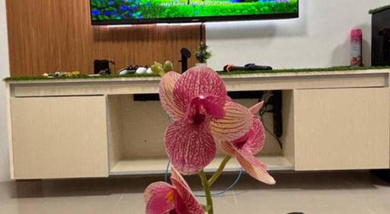 foto45