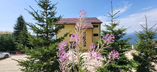House  Rânca