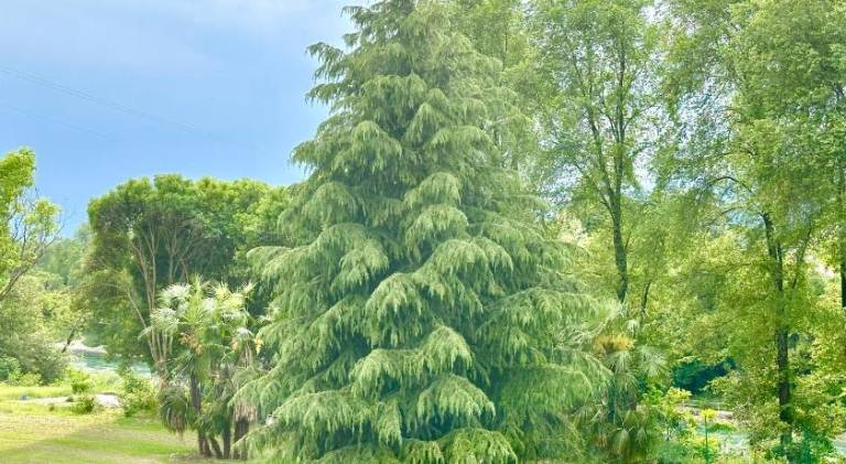 foto9