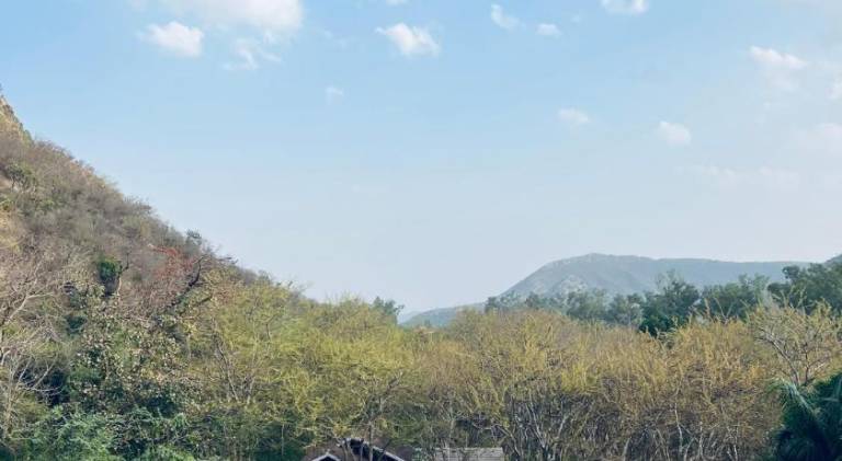 NAMANBAGH — photo 5