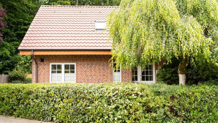 Ferienhaus  Haselünne