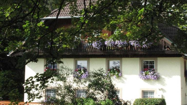 Ferienhaus mit Hund in Hinterzarten für max. 2 Personen Ferienhaus mit Hund in Hinterzarten für max. 2 Personen