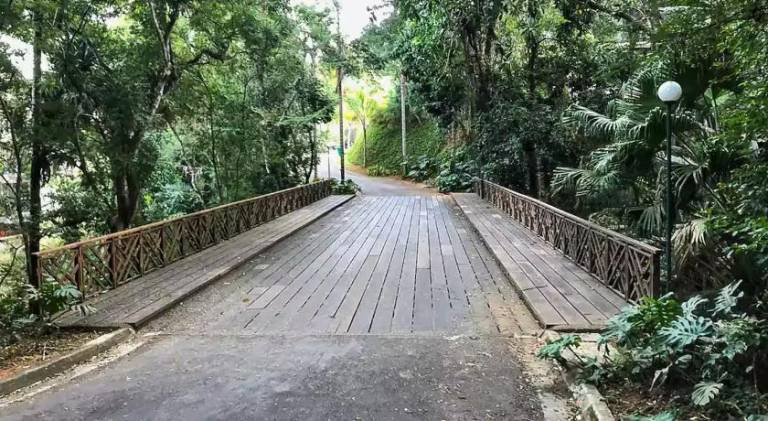 foto49