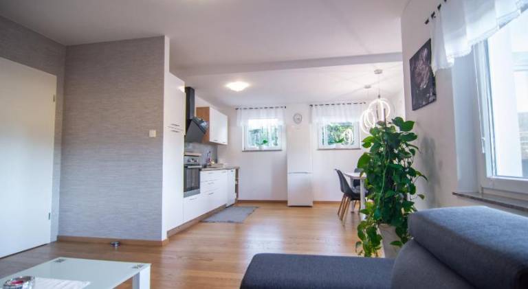 Apartma Gorenje pri Zrečah