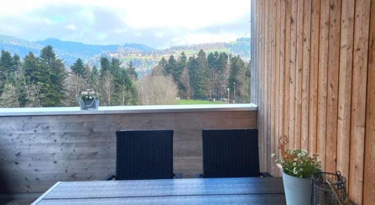 Holiday apartment with patio | Pet-friendly — photo 5
