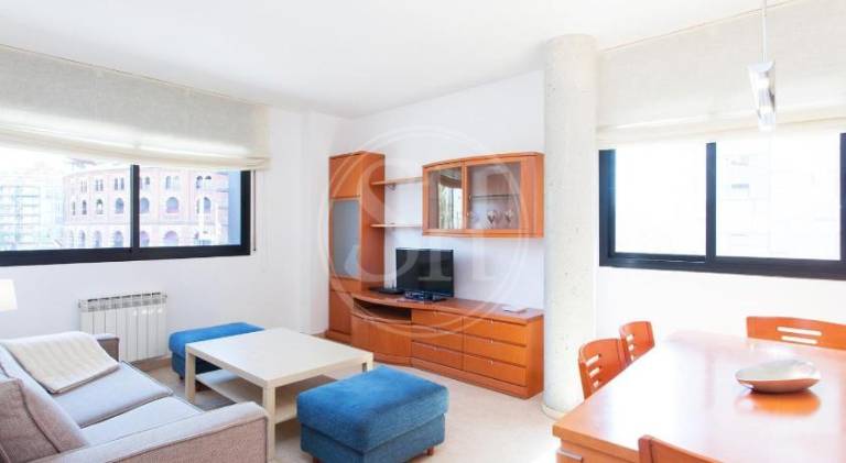 Charming rental apartment | Close to Magic Fountain of Montjuïc | Dogs allowed in San Ramon, CA