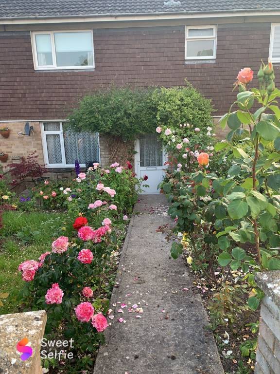 House Amesbury