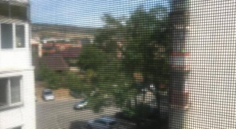 Rental apartment with 1 room for 2 persons — photo 4