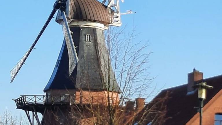 foto4