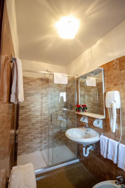 Hotel Stella Alpina — photo 2