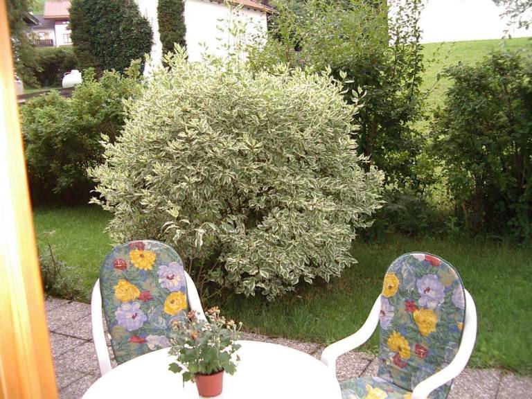Appartement Bad Kohlgrub