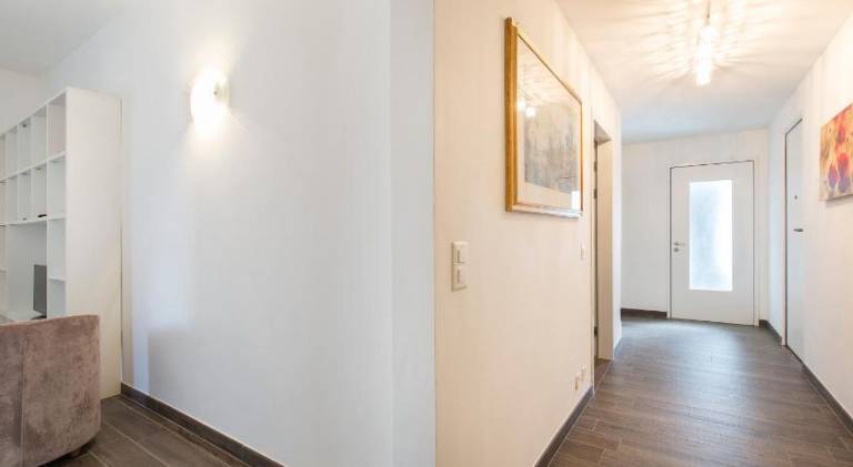 Holiday apartment | Pets are welcome — photo 5