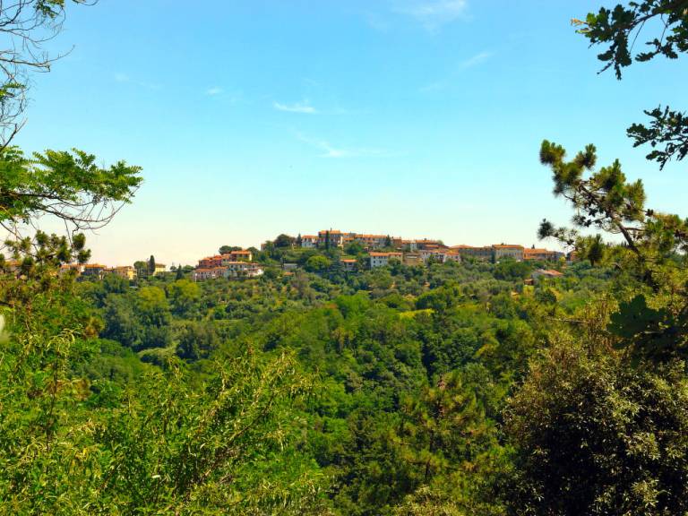 foto41