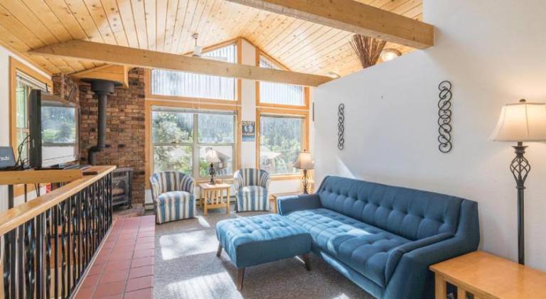 House | Pets allowed in Ouray, CO