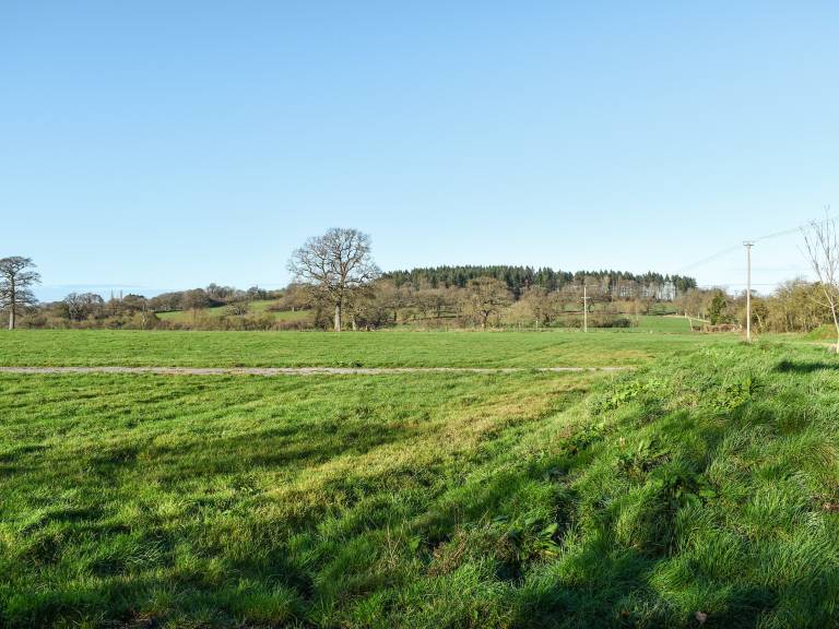 foto16