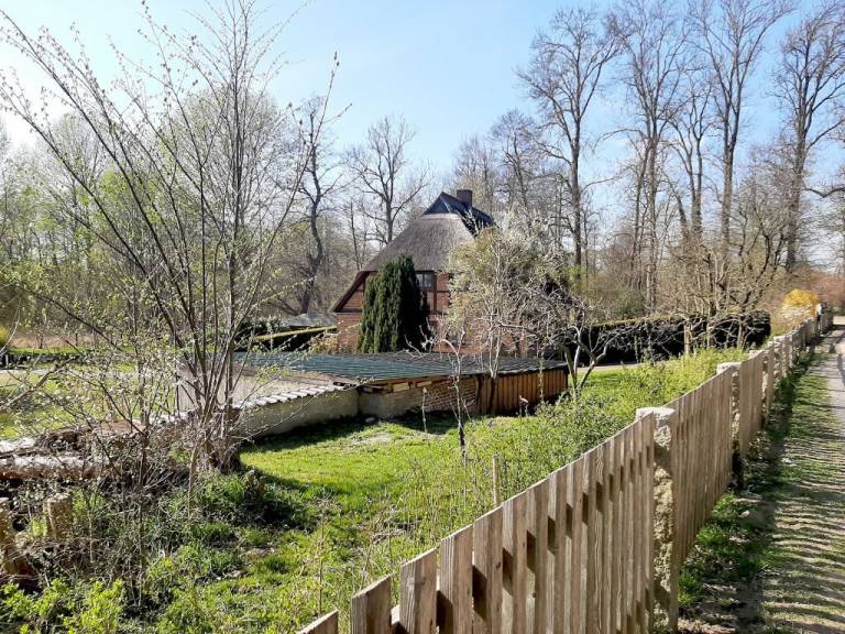 foto4