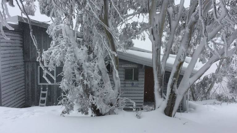Lodge Mount Buller