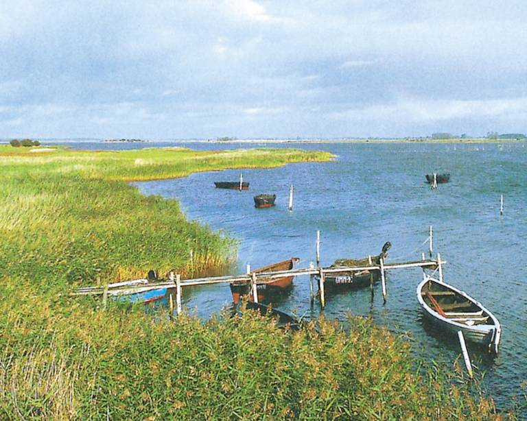 foto14