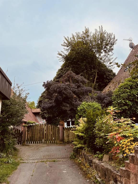 Ferienwohnung mit Hund in Steinegg, Schwarzwald fuer max. 2 Personen