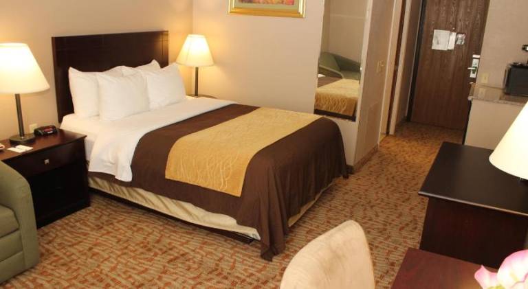 Quality Inn — photo 5