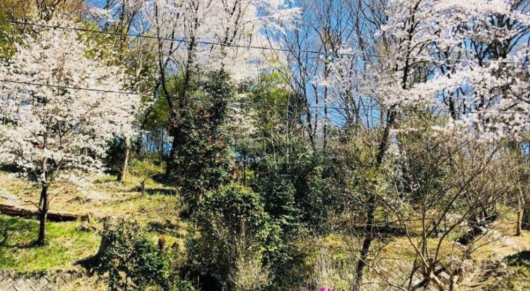 foto46
