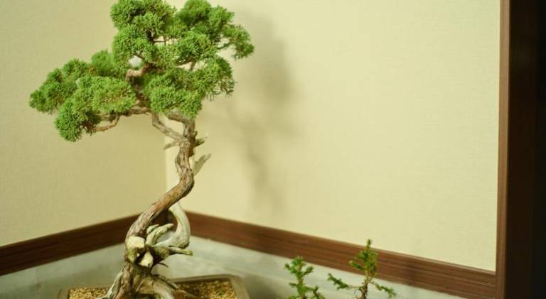 foto30