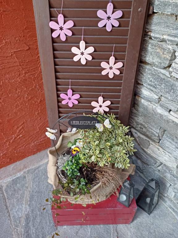 foto21