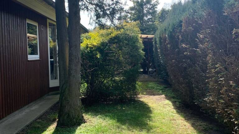 foto15