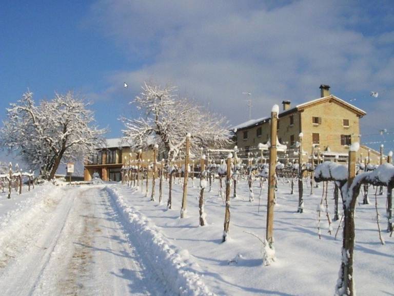 Casale Susegana