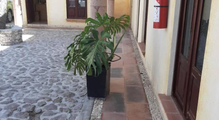 Hotel Villa Aurora — photo 4