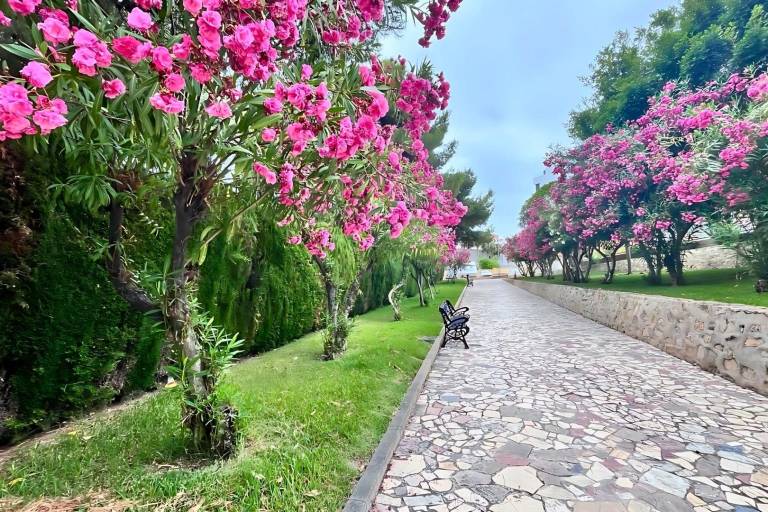 foto45