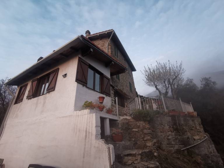 foto1