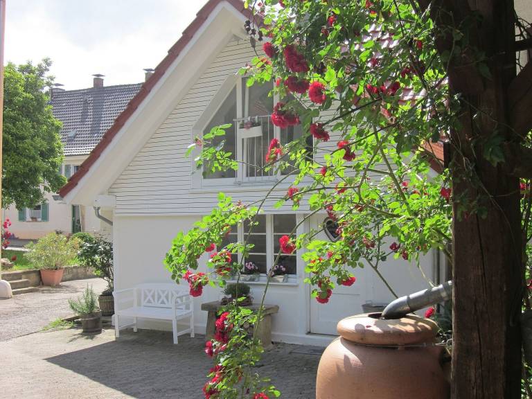 Ferienhaus Buggingen