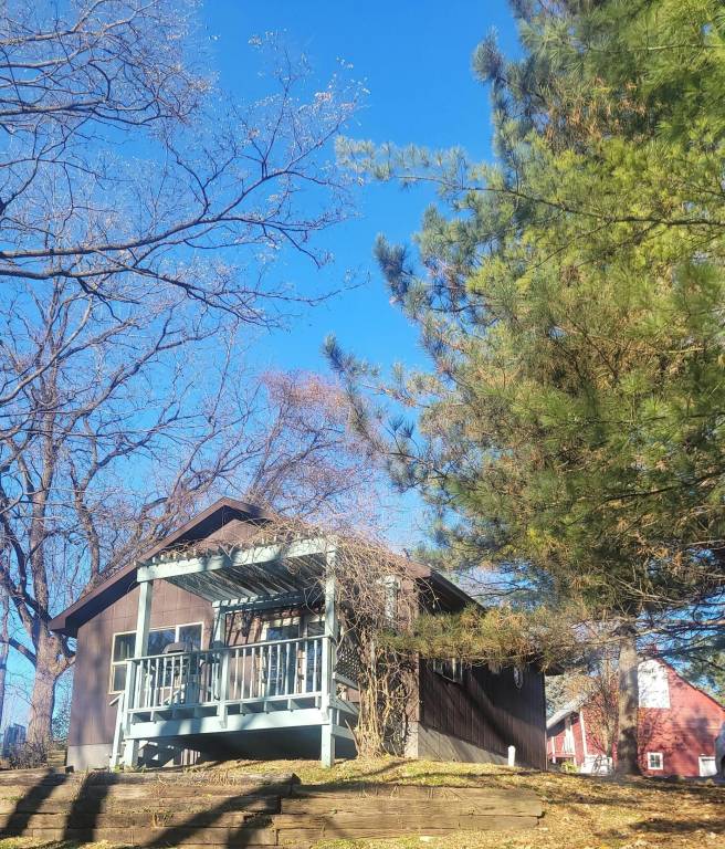 Cabin Savanna