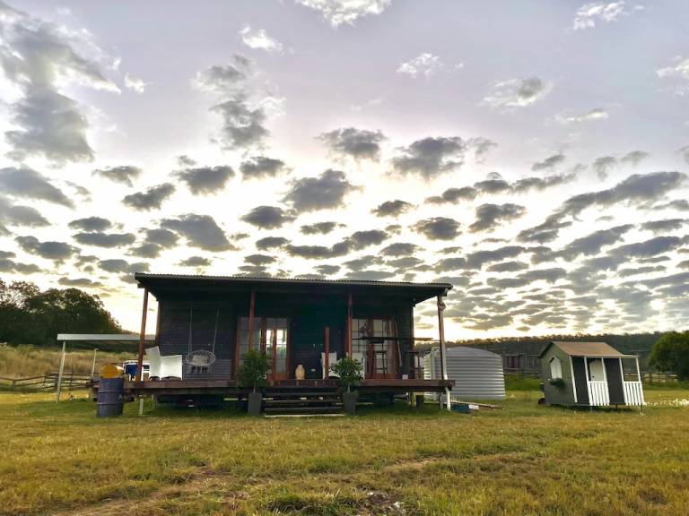 Cabin Nobby