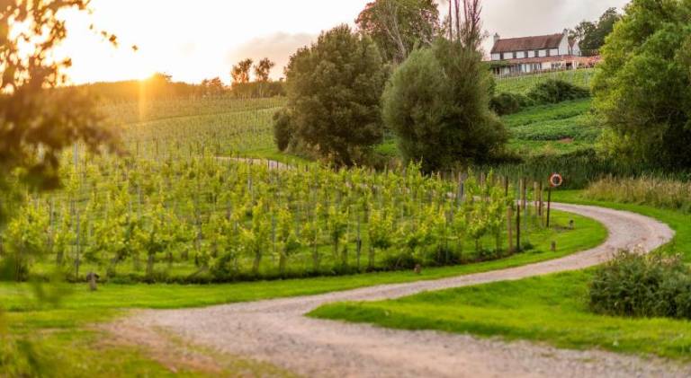 Three Choirs Vineyards