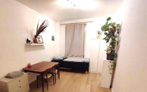 foto14