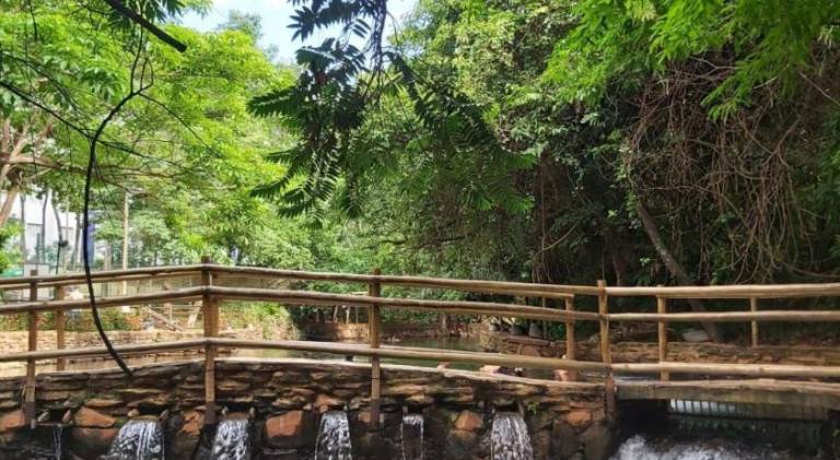 foto44