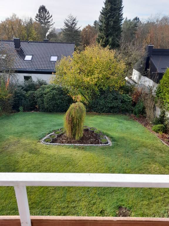 foto16